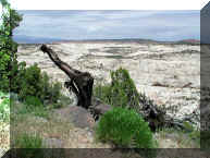 Escalante Staircase Utah 