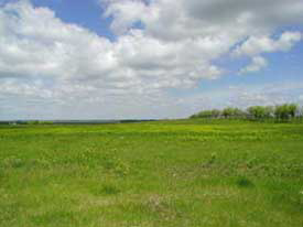 Ever wonder where Hay comes from? Near Standing Rock cemetary, Fort Ransom, ND