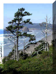Oregon coast near Newport
