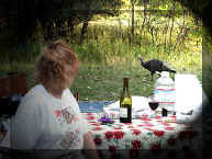 Deloris meets wild turkey at Teddy Roosevelt NP