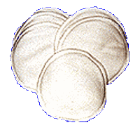 Organic nursing pads. Click here for these and much more!