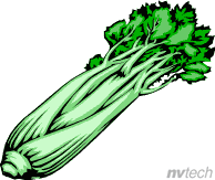 celery