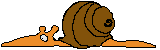 snail