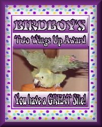 Birdboys Award