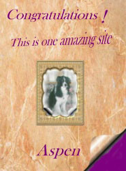Aspen's Award