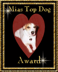 Mia's Top dog Award