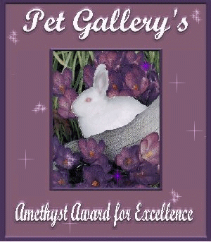 Pet Gallery Award