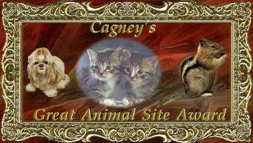 Cagney's Award