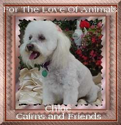 Chloe's Love of Animals Award