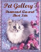 Diamond Award