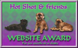 Hotshot Award