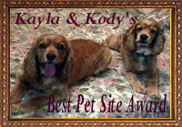 Kayla & Kody's
     Award
