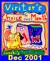 Visitor's Choice Award