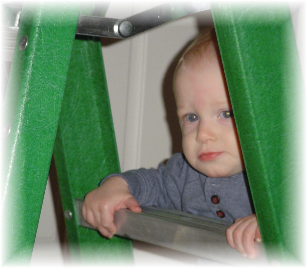 Aidan on the ladder...