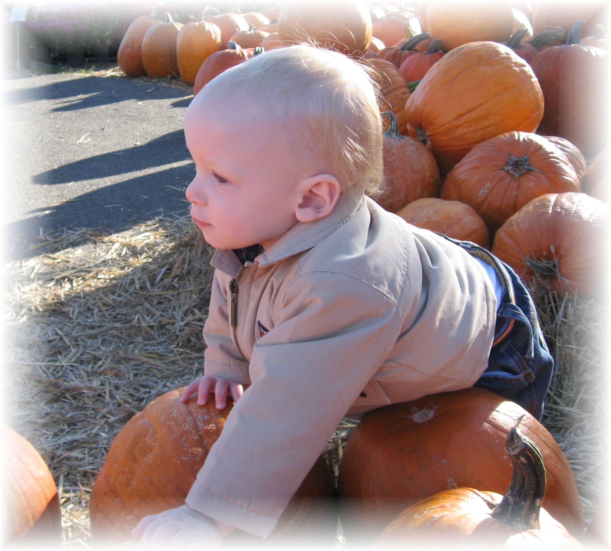 Aidan picking out our pumpkin