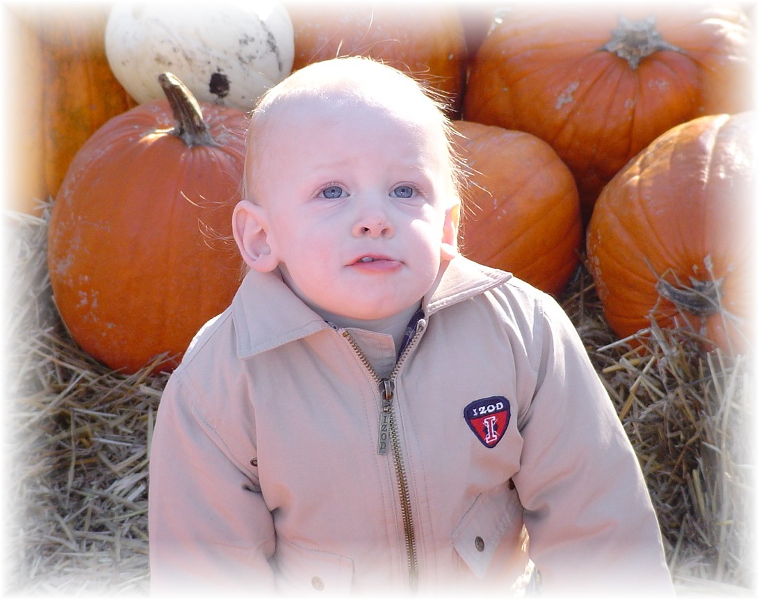 Aidan in the pumpkin patch...