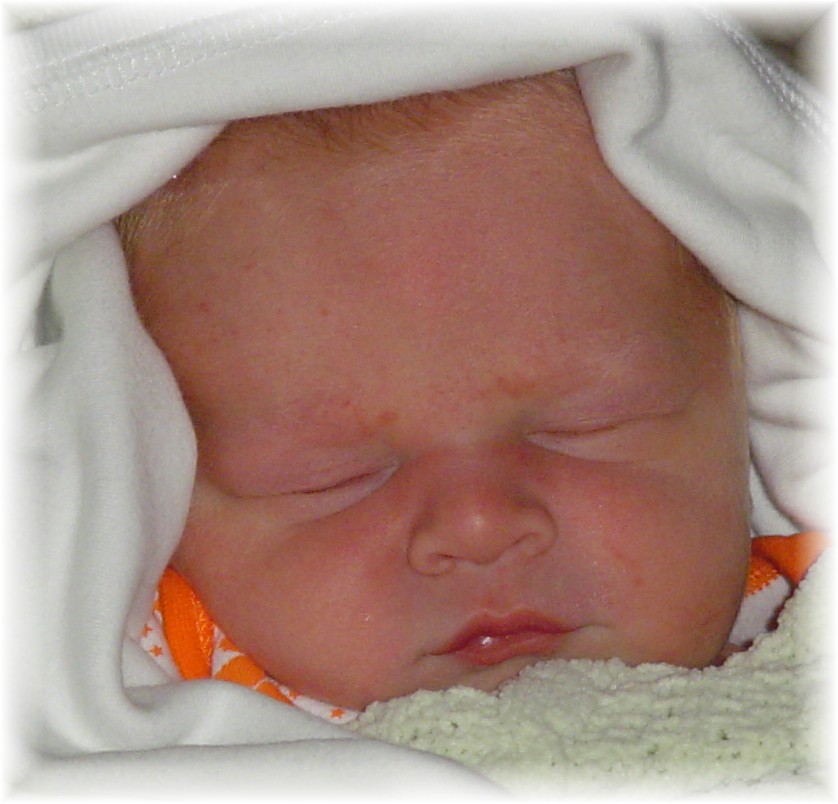 Baby Boy Groves
