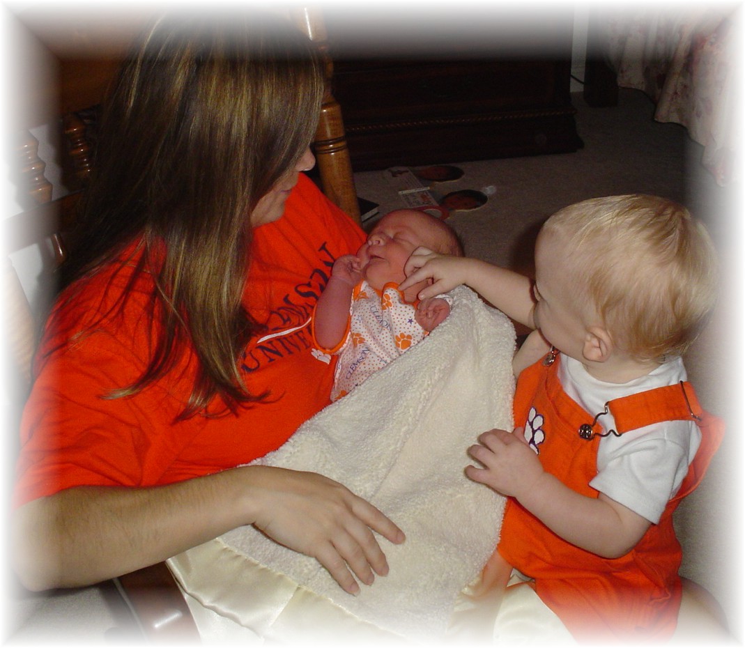 Mommy rocking her tiger cubs!