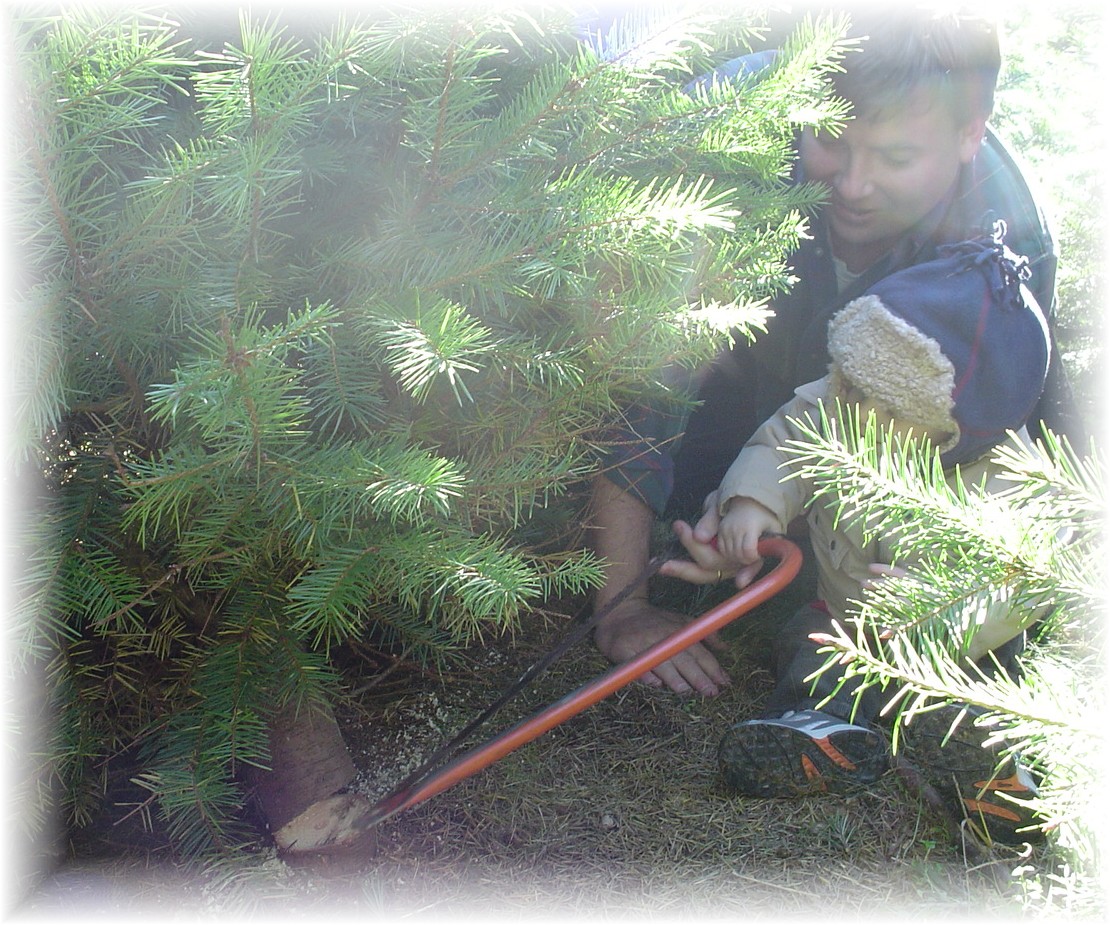Daddy and Aidan chopping down the tree