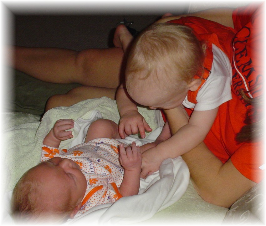 Our Tiger cubs!