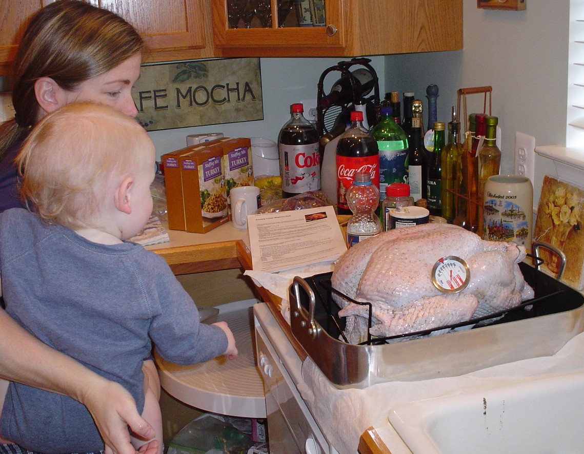 Aidan checking out the turkey
