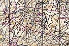 Map 1 : 25 000 from WOC 1970