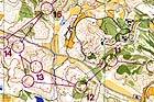 Map 1 : 20 000 from WOC relay 1974