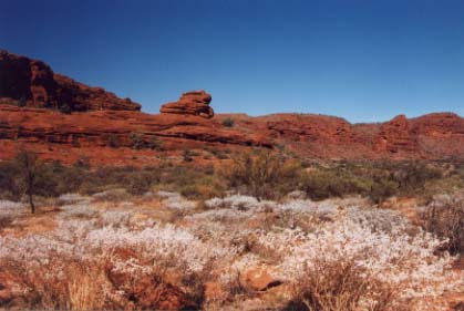 desert_view