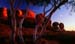 The Olgas in outback Australia