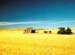 deserted hut in outback Australia