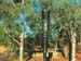 rainmaker-gun in outback Australia