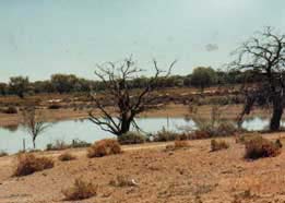 bre_sheepstation