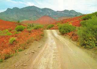 flinders-ranges