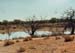 sheep station in outback Australia