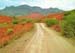 flinders-ranges in outback Australia