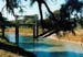 wilcannia_bridge in outback Australia