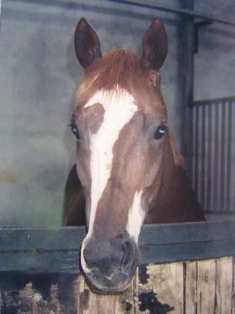 Abbeyleix