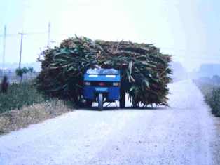 big load