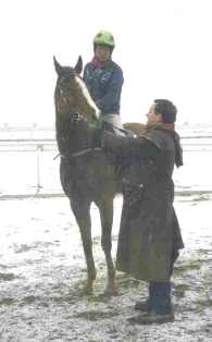 Teaching