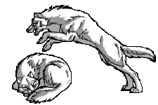 whitespeelnpounce.gif (5686 bytes)