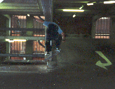 wow, an ollie!!