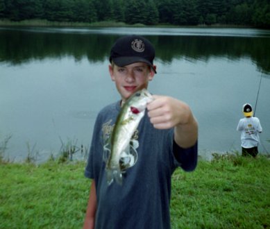 Fish
