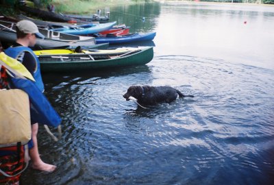 Retrievers