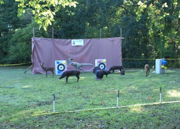 Archery