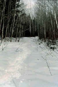 The snowshoeing trail
