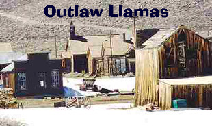 oldwest.jpg (26344 bytes)