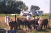 picture3.jpg (50768 bytes)