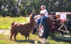 picture4.jpg (46464 bytes)