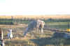 picture6.jpg (37895 bytes)