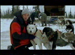 Ewan and Polar Bears